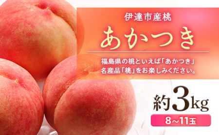 福島県産 あかつき 約3kg 2025年7月下旬～2025年8月上旬発送 2025年出荷分 先行予約 予約 伊達の桃 冷蔵配送 もも モモ 果物 くだもの フルーツ 名産品  F20C-500