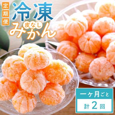 ふるさと納税 八幡浜市 【毎月定期便】愛媛県産 冷凍みかん定期便|シャーベット感覚で楽しむ完熟みかん【E25-392】全2回