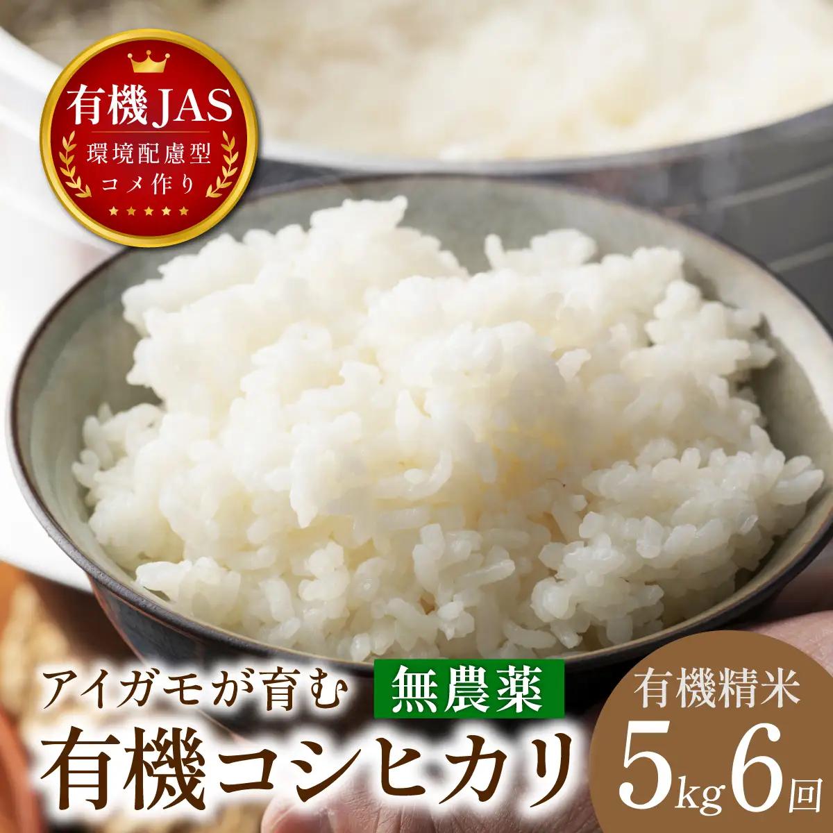 コシヒカリ〈8年産予約〉コシヒカリ〈定期便〉有機米 無農薬 コシヒカリ 精米 ( 5kg×6回 計30kg ） 有機米