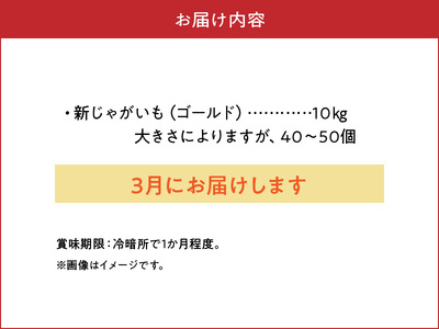 【 2026年 先行予約 受付中 】 新 じゃがいも ゴールド 10kg ＜ 3月お届け ＞ C056-006-02 ジャガイモ 新じゃが 新ジャガ 野菜 やさい 根菜 期間限定 先行受付 先行 予約