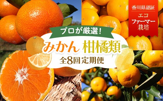 
                  【8回 頒布会】みかん 柑橘類 定期便 彩り柑橘 8回《10月温州みかん（極早生）からスタート》フルーツ フジカワ果樹園セレクト 果物 果物類 フルーツ FAH-0190
                