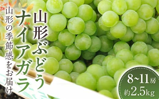 山形ナイアガラ ぶどう 約8房～約11房 約2.5kg【2025年8月から発送】  ブドウ 葡萄 デザート フルーツ 果物 くだもの 果実 食品 山形県 FSY-1063