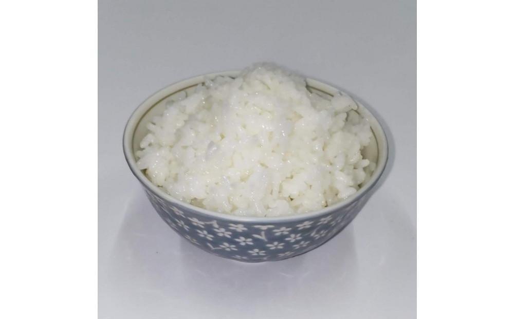 令和7年産 佐渡産コシヒカリ米「朱鷺の舞」5kg 佐渡・今井茂助商店おすすめ
