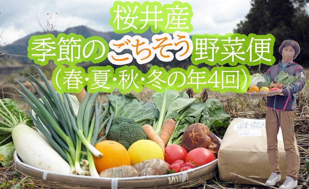 
                  DE-4.【大和高原地域で栽培】桜井産季節のごちそう野菜便（春・夏・秋・冬の年4回発送）生産者カード付き
                