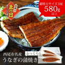 【増量】「生産者愛知養魚」がお届けする三河産うなぎ「蒲焼冷凍＜超特大＞×3尾（580g～600g）」2週間前後でお届け！【冷凍便】国産 愛知県産 鰻 ウナギ タレ付き たれセット MB