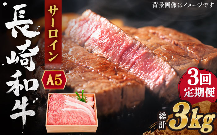 
                  【全3回定期便】長崎和牛 サーロイン ステーキ 総計3.0kg （1.0kg/回）【株式会社 OGAWA】 [QBI012] 牛肉 和牛 焼き肉 バーベキュー / 長崎県 佐々町
                