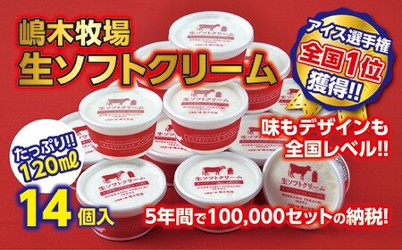嶋木牧場の生ソフトクリーム 北海道 120ml×14個