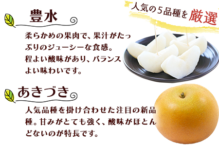 梨 坂村梨園 約3kg 4～10玉前後｜玉東梨