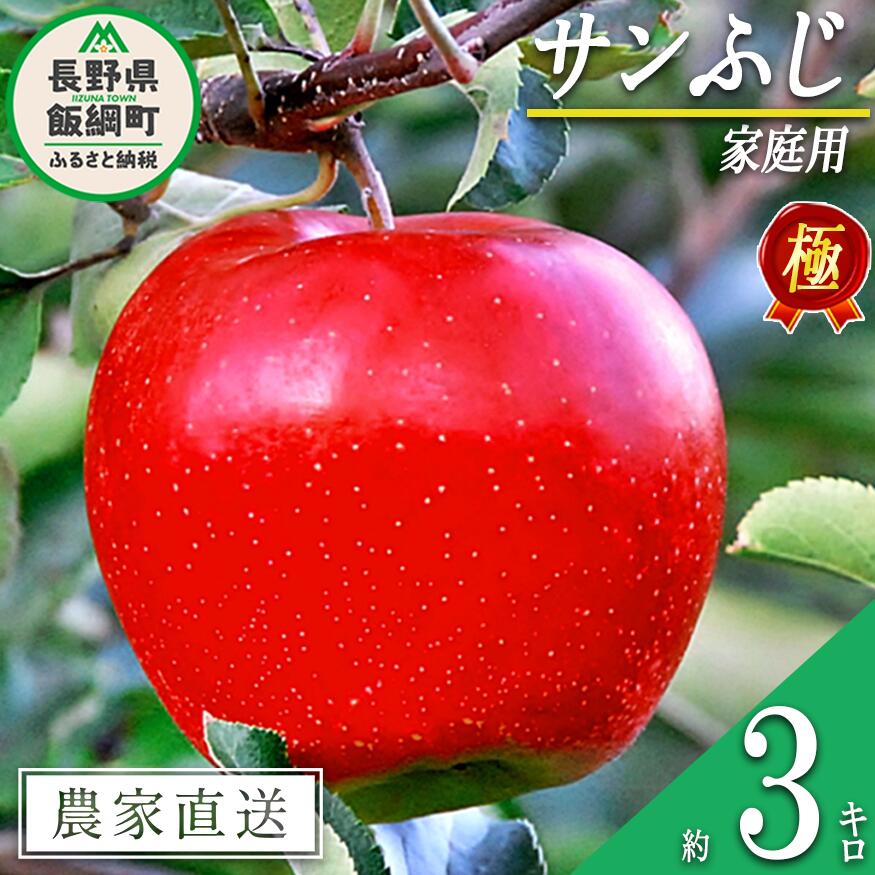 【ふるさと納税】りんご 極みサンふじ 3kg 家庭用 松澤農園 沖縄へは配送不可 〔 果物 フルーツ 林檎 長野 予約 農家直送 3キロ 12000円 〕【令和7年度収穫分】 発送：2025年11月下旬〜
