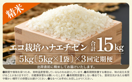【先行予約】【令和8年産 新米】 エコ栽培ハナエチゼン　白米5kg×3回 計15kg ／ 鮮度抜群 福井県産 はなえちぜん ご飯 新鮮 白米 ※2026年9月上旬以降順次発送予定 [aw063-c01
