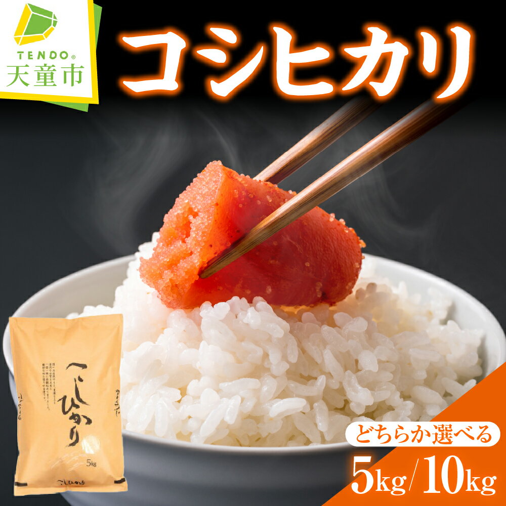 【ふるさと納税】 コシヒカリ 選べる 5kg / 10kg 令和7年産 米 新米 2025年 コメ こめ おこめ 精米 特別栽培米 ブランド米 ごはん 白米 ご飯 おにぎり 弁当 5kg 袋 小分け 便利 おすそ分け お取り寄せ 食品 産地直送 送料無料 【 山形県 天童市 】