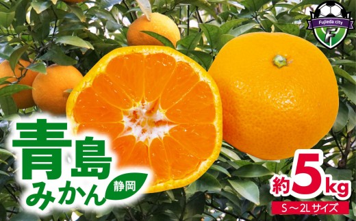 【数量限定】【先行予約：2026年12月下旬より順次出荷】 みかん 約5kg 青島 大玉 ミカン 果物 フルーツ 柑橘 静岡県産 蜜柑 ビタミン 美味しい 大きい 産地直送 mikan mandarin orange 国産 家庭用 お取り寄せ（S～2Lサイズ）青島みかん 静岡県 藤枝市