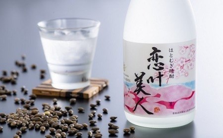 はとむぎ焼酎恋叶美人(20度・720ml) | 豊後高田市 はとむぎ焼酎