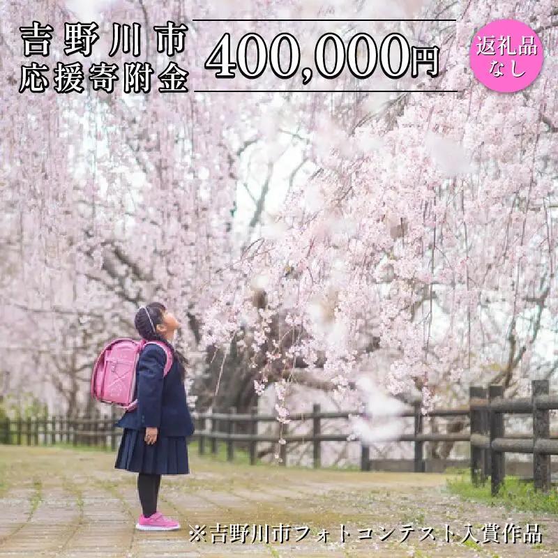 【 返礼品なし 400,000円  】 徳島県 吉野川市 への 寄附 応援寄附金