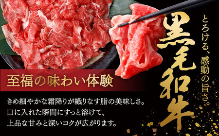 牛肉切り落とし500g [SBA094] 