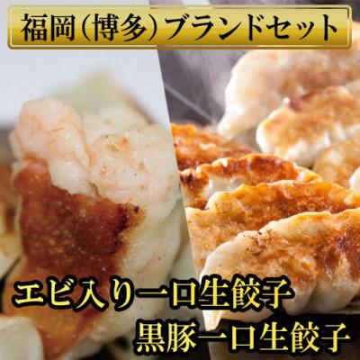 ふるさと納税 福岡市 計130個　福岡ブランド　博多黒豚一口生餃子と博多エビ入り一口生餃子セット(福岡市) SN010