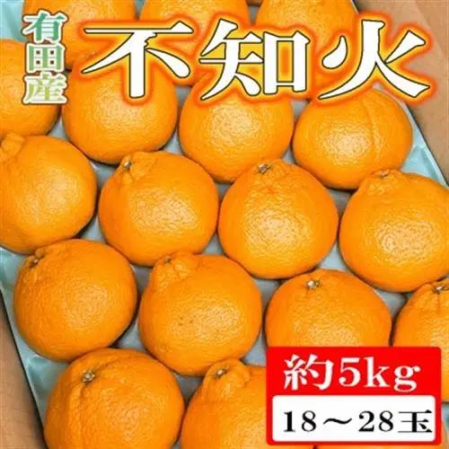 【濃厚春柑橘】有田産不知火約5kg(18玉～28玉おまかせ)　(日高町)【1221746】