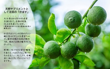 2473R-2【先行予約】【訳あり】【選べる容量】農家直送！竹中農園 かぼす 約3kg
