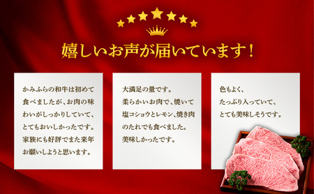 かみふらの和牛 厚切りサーロイン 400g 牛肉  黒毛和牛 国産牛 高級ステーキ 肉ギフト お取り寄せ 北海道産 贅沢 希少部位 家族向け BBQ 焼肉 プレゼント用 農林水産賞受賞