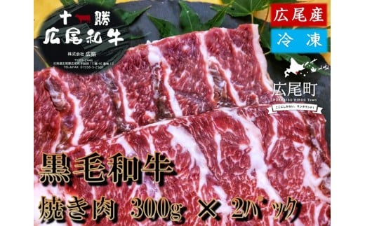 焼き肉用　黒毛和牛 300g×2パック　計600g【冷凍　牛肉　焼肉　ビーフ　BBQ　バーベキュー　北海道　十勝】(AQ0003)