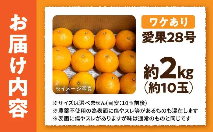 みかん 訳あり愛果28号 約2kg 約10玉 フルーツ 果物 みかん 訳あり BJBL001