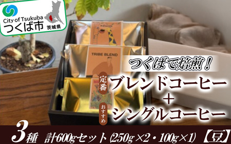 つくばで焙煎！トライブの定番とおすすめのシングル3種 計600gセット(250g×2・100g×1)[豆]