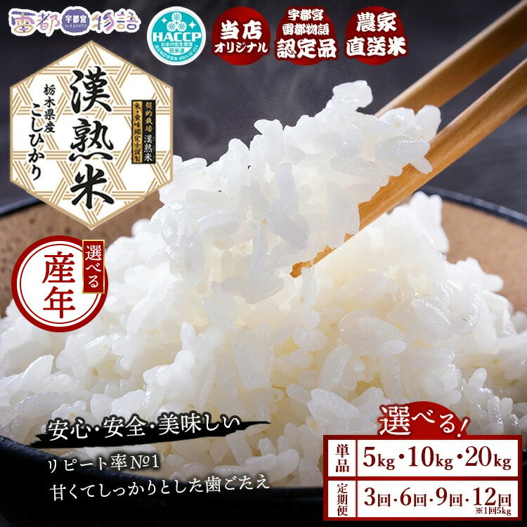 【ふるさと納税】【選べる容量・配送回数・産年】栃木県産コシヒカリ 「漢熟米」◇