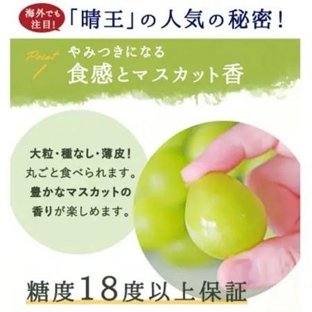 【先行受付】岡山県産 シャインマスカット『晴王』2房(1房480g以上) 化粧箱入り【配送不可地域：離島・北海道・沖縄県】【1499104】