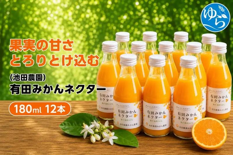 みかん ネクター 100％ ジュース / 温州みかん 有田みかん 果汁 無添加 柑橘 和歌山 15000円 180ml ※北海道・沖縄・離島への配送不可 //drink 【ikd100-to180-12A】