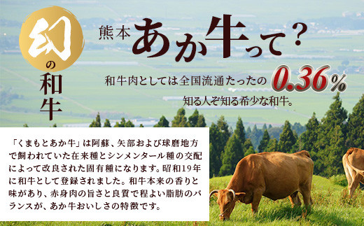 【 定期便 12回 】 熊本あか牛 焼肉用カット ( バラ ・ ロース ) 500g × 12回 【 合計 6kg 】