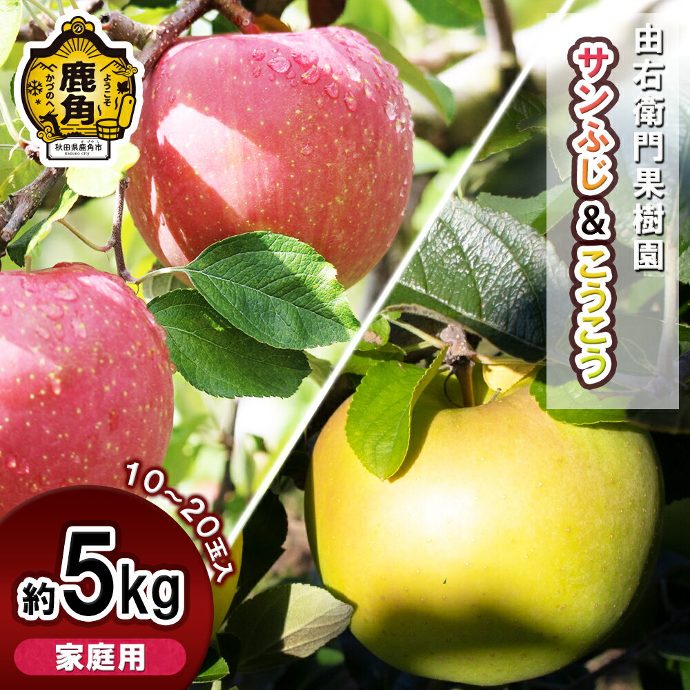 【ふるさと納税】 《 先行予約 》 由右衛門果樹園 りんご 家庭用 「 サンふじ ＆ こうこう 」 約5kg（10～20玉） 詰め合わせ セット 果汁 リンゴ 完熟 お中元 お歳暮 贈り物 グルメ 秋田 あきた 鹿角市 鹿角 送料無料 【由右衛門果樹園】●2025年11月下旬発送開始