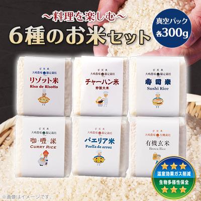 ふるさと納税 茨城県 大嶋農場のバラエティライスギフト　6種セット