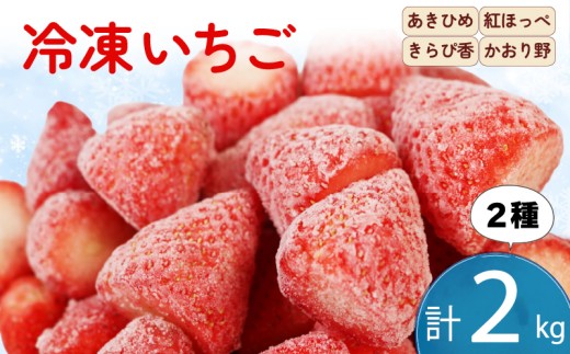 冷凍 いちご 計2kg 2種類 セット 紅ほっぺ 章姫 きらぴ香 かおり野 フルーツ 果物 イチゴ フローズン スムージー ヨーグルト 苺 静岡県 藤枝市 ふるさと人気 
