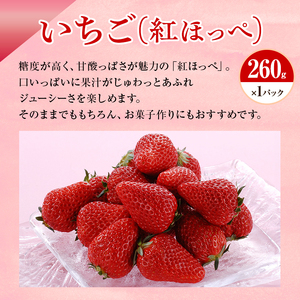 【2025年1月中旬より順次発送】紅ほっぺいちご 1パックと三ヶ日みかん青島 1.5kg 詰合せ【配送不可：離島】
