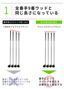 FLIT-BOX SEMIONE（フリットボックスセミワン） フェアウェイウッド【FD-60：標準シャフト】番手:5W シャフト硬さS（硬め） 