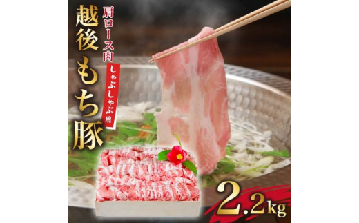 しゃぶしゃぶ贅沢セット　極上越後もち豚肩ロース2.2kg【1404270】