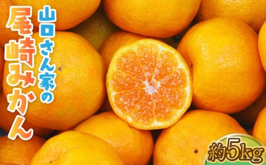 【先行予約】山口さん家の尾崎みかん 約5kg 【2025年12月上旬から12月下旬発送予定】柑橘 果物 フルーツ