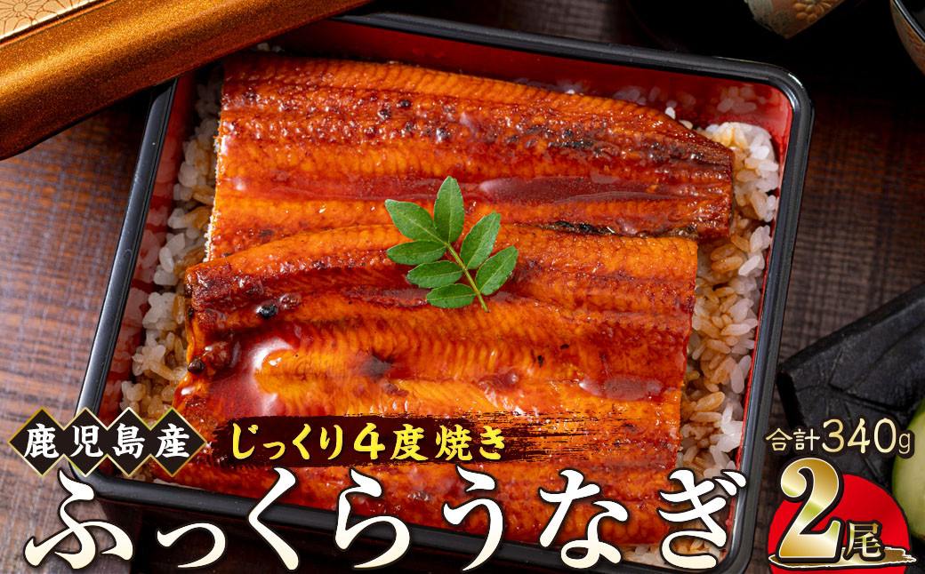 うなぎ 蒲焼 170g×2尾【鹿児島産】地下水で育てた絶品鰻 464686_AQ106