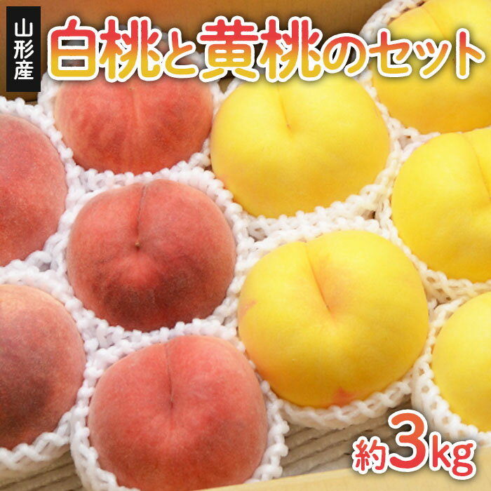 【ふるさと納税】山形の白桃と黄桃のセット 約3kg(6〜13玉)[柔らかくなる品種・果肉やや硬め] 【令和7年産先行予約】FS24-567 くだもの 果物 フルーツ 山形 山形県 山形市 お取り寄せ 2025年産