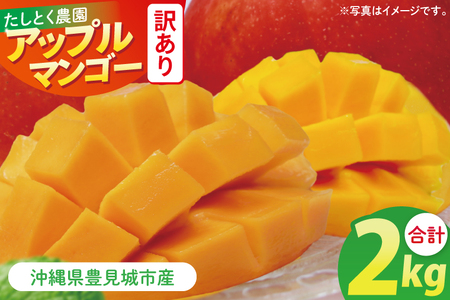 ★訳あり★沖縄県豊見城市産アップルマンゴー 約2kg｜マンゴー アップルマンゴー 訳あり わけあり フルーツ くだもの 果物 数量限定 おきなわ 沖縄 沖縄フルーツ 豊見城市(DJ002)