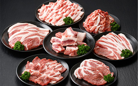 恵味の黒豚 BBQ・キャンプ用セット(7種・合計2.5kg超！)  冷凍 小分け 国産 鹿児島県産 黒豚 BBQ や キャンプ に ピッタリな7種セット！【B-368H】