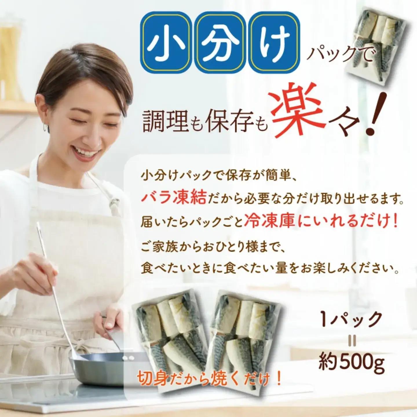 訳あり 塩鯖 500g 鯖