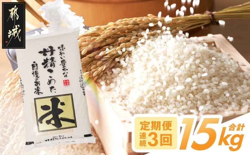 
                  ≪3回お届け!≫都城産米と国産米ブレンド 5kg_T33-3-33-001-5kg_(都城市) お米 国産ブレンド米 5kg 精米 定期便 3ヶ月間お届け
                