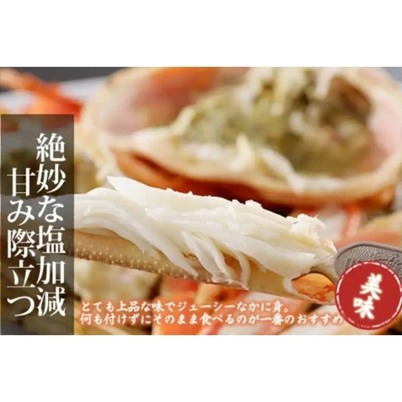 かに卸問屋がお届け・自社釜ゆで！山陰沖ゆで松葉がに 900ｇ～1ｋｇ 特大サイズ（12月発送）／北畿水産 かに