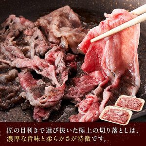 ＜A4以上＞勘治郎の特選黒毛和牛切り落とし1kg(500g×2P)