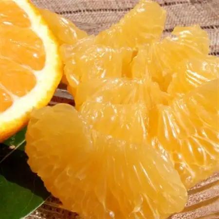 甘夏(あまなつ)秀品[約5kg] 和歌山県有田産 春みかん (果実サイズおまかせ)【1489913】