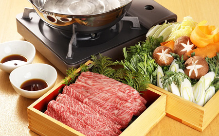 【2026年1月発送】飛騨牛しゃぶしゃぶセット 計400g （もも 200g・肩ロース 200g）最高級 国産 牛肉 ブランド牛 和牛 ギフト 贈答 【冷凍】【22-32(1)】