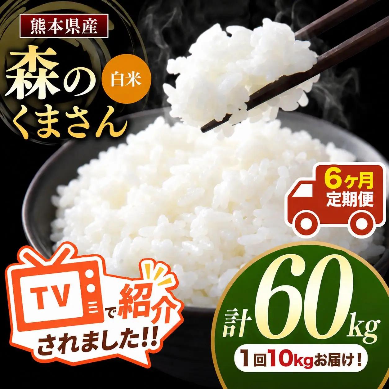 【 定期便 6回 】 熊本県産 白米 森のくまさん 10kg