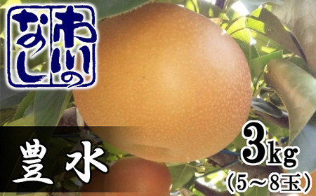 市川の梨　豊水　3kg（5～10個入り）　【12203-0124】