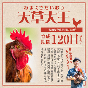 S081-006A_地鶏天草大王 バラエティセット（もも肉 ムネ肉 大手羽）